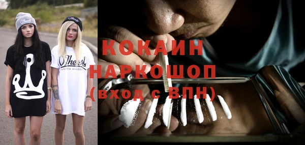 стафф Касимов