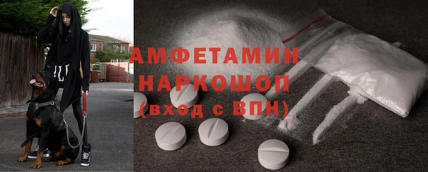 стафф Касимов