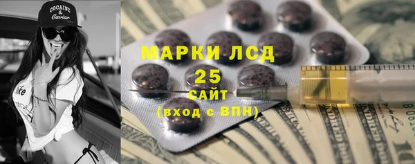 стафф Касимов