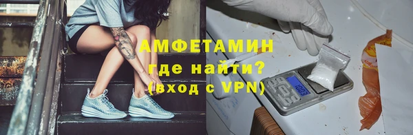 стафф Касимов