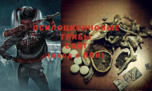 mdma Карпинск