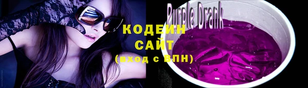 стафф Касимов