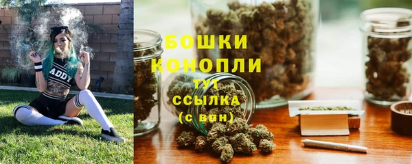гидропоника Карталы