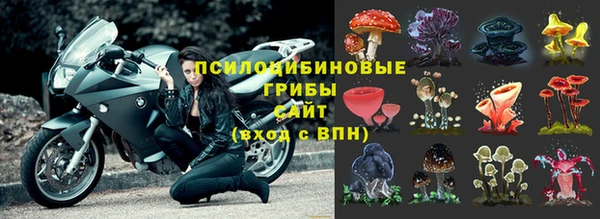 стафф Касимов
