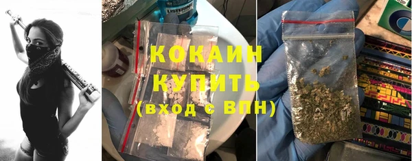 стафф Касимов